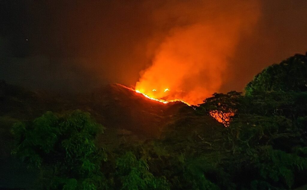 Incendio-forestal-en-el-Parque-Nacional-Henri-Pitier-1024x636.jpg